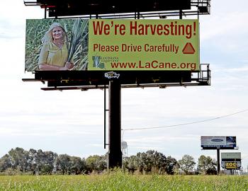 American Sugar Cane League  billboards promote driver safety during the sugarcane harvest season. 